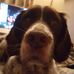 Profile Picture of Charlie Read (@charlie.read.94) on Facebook