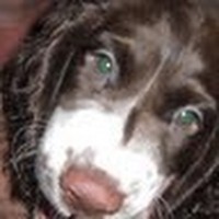 Profile Picture of Marah Campbell (@marah-campbell) on Quora