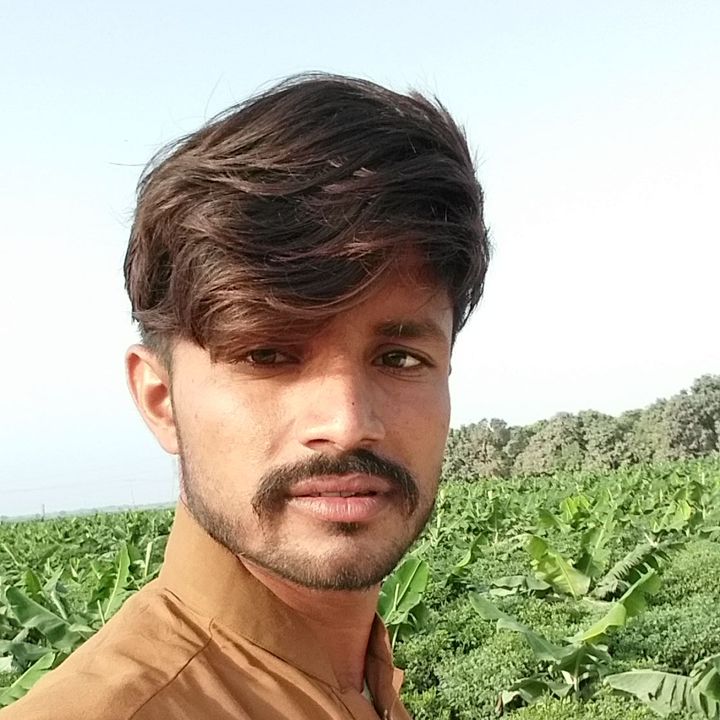 Profile Picture of chander Rai (@b924912278) on Tiktok