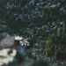 Profile Picture of Jeremy Torres  (@jeremy_torres72429) on Pinterest