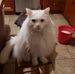 Profile Picture of Cindy Linton (@cindy.linton.180) on Facebook