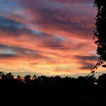 Profile Picture of Tonya Hull (@hulltonya) on Instagram