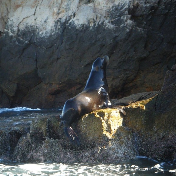 Profile Picture of Rebecca Sletten (@robax77) on Poshmark