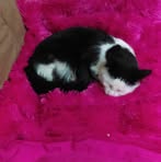 Profile Picture of Alisha Zerfas (@keith.alisha.5) on Facebook