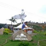 Profile Picture of Terry Duck Moreno Toledo (@terrymorenotoledo) on Instagram