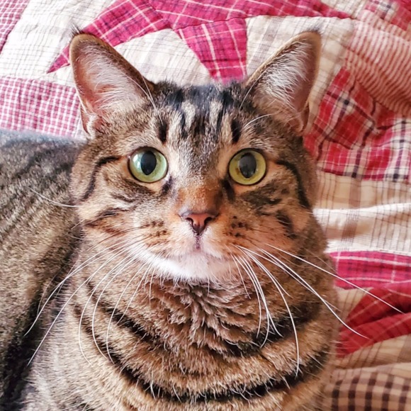 Profile Picture of Andi Cook (@coachellaspice) on Poshmark