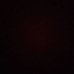 Profile Picture of Erika Scuderi💪 (@erika_scuderi) on Instagram