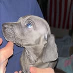 Profile Picture of Joseph Hawkins (@Joseph-Hawkins) on Facebook