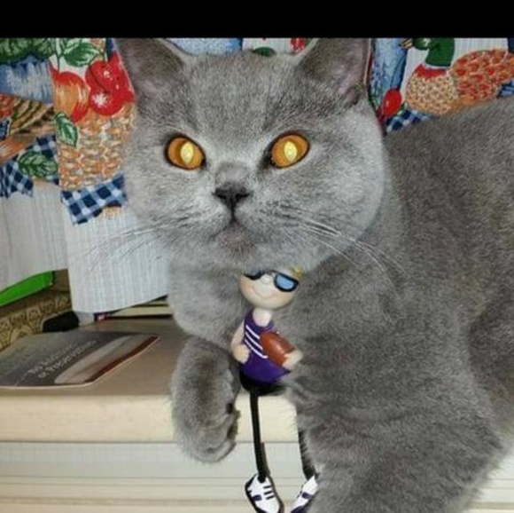 Profile Picture of Robyn Selleck (@robynselleck) on Poshmark