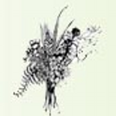 Profile Picture of Bianca Malmstrom (@stalkmarketgo) on Twitter