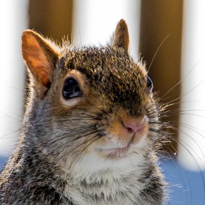 Profile Picture of Pop Vegas (@scott_hudkins) on Twitter