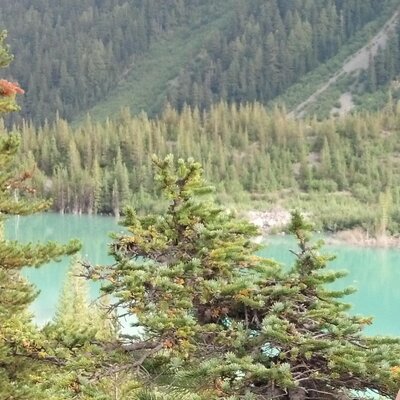 Profile Picture of Peter Bang-Knudsen (@DrPeterBK) on Twitter