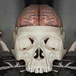 Jake Penrose - Flickr Profile Picture of Jake Penrose (@jake penrose) on Flickr