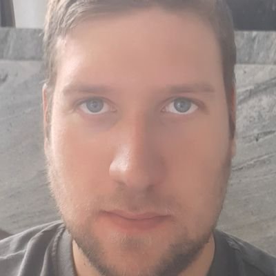 Profile Picture of Sebastian Riedel (@seb1993riedl) on Twitter