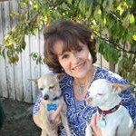 Profile Picture of Suzanne Hackett (@suzannehackett) on Instagram