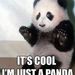 Profile Picture of Kevin Funston (@senseikevin) on Pinterest