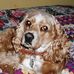 Profile Picture of Jan Tolbert (@jan.tolbert.9) on Facebook