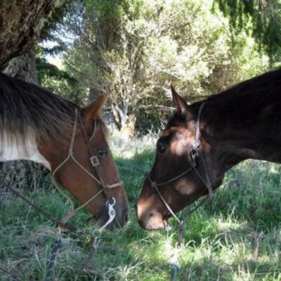 Profile Picture of Jessica Boyd (@jessssicaboyd) on Twitter