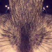 Vikki Cooper - Youtube Profile Picture of Vikki Cooper (@vikkicoo22) on Youtube