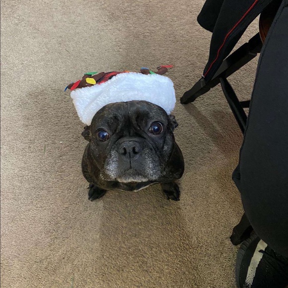 Profile Picture of Chloe Knautz (@chloeknautz) on Poshmark