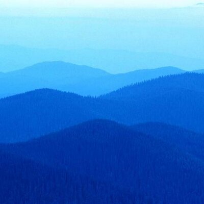Profile Picture of Daniel Balint (@DanielBalint2) on Twitter