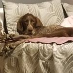 Profile Picture of Rhonda Sims (@rhonda.sims.1) on Instagram