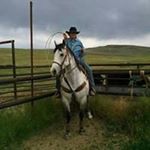 Profile Picture of Daniel Harding (@danielharding00) on Instagram