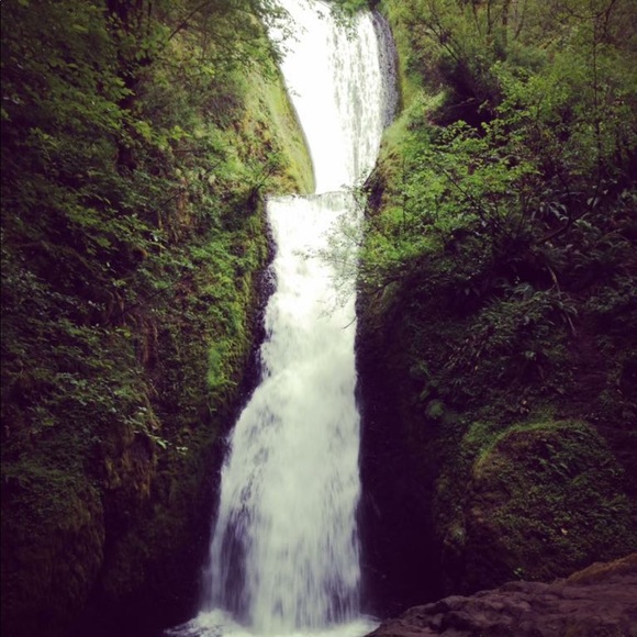 Profile Picture of Andrea Cononico (@acononico) on Poshmark