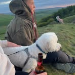 Profile Picture of James Kerr (@James-Kerr) on Facebook