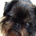 Profile Picture of Nancy F. Gluck (@nancy.f.gluck) on Facebook