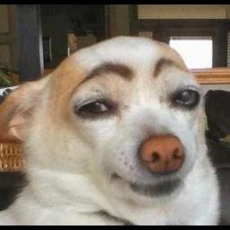 Profile Picture of Sam Tsai (@blue9000samtsai) on Twitter