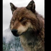 Profile Picture of Jacob Black (@jacobblack7741) on Youtube