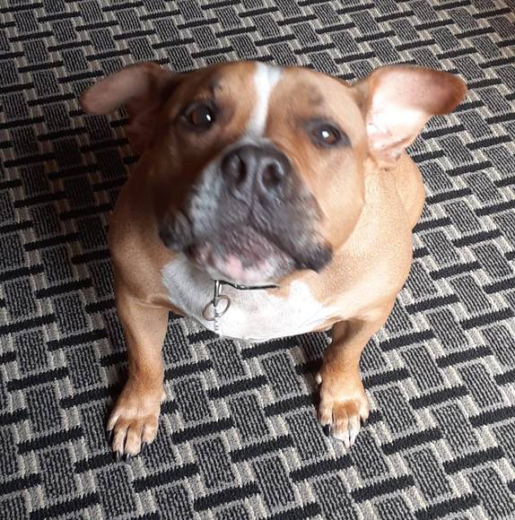 Profile Picture of Nikki Deuso (@brighteyez5876) on Poshmark