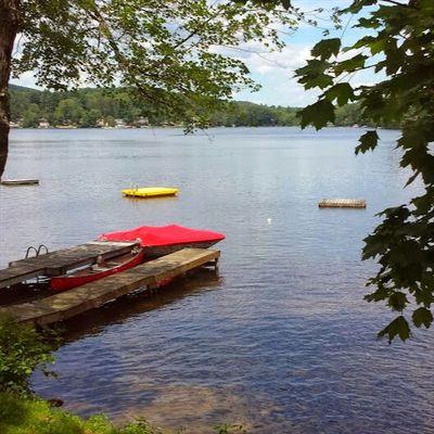 Profile Picture of MR.SILVER WOLF (@CalvinNicoli) on Twitter