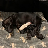 Profile Picture of Brad Laliberte (@brad-laliberte-3) on Quora