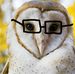 Profile Picture of Harvey Daniels (@harvey.daniels.5) on Facebook