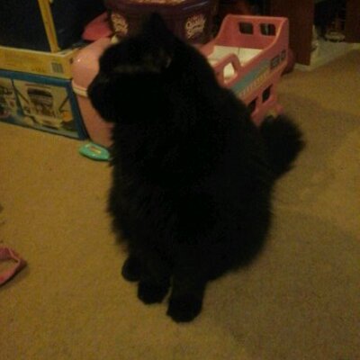 Profile Picture of Emmie Thomas (@ClareEmmie) on Twitter