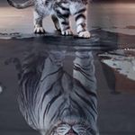 Profile Picture of Jason (@polsonk22) on Instagram