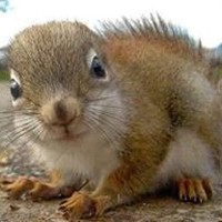 Profile Picture of Kim Stanfield (@kim-stanfield-2) on Quora