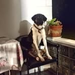 Profile Picture of Kristoph Benjamin (@kristoph.benjamin.2025) on Facebook