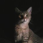 Profile Picture of Ralph Sugg (@ralph.sugg) on Facebook