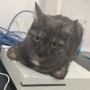 Profile Picture of bubble (@@_jacobhaddad_) on Tiktok