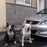 Profile Picture of Borja Rodriguez Pulido (@borjavtec86) on Instagram