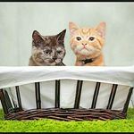 Profile Picture of Lara Perry (@laraperryluna) on Instagram