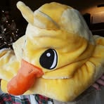 Byron Seidel - Facebook Profile Picture of Byron Seidel (@familien.apples) on Facebook