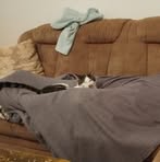 Kevin Baumbach - Facebook Profile Picture of Kevin Baumbach (@michael.meier.77715869) on Facebook