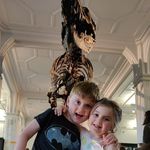 Profile Picture of Steven Vickers (@stevenvickers) on Instagram