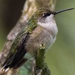 Profile Picture of Steve Crotty (@mrsnarcastic) on Instagram