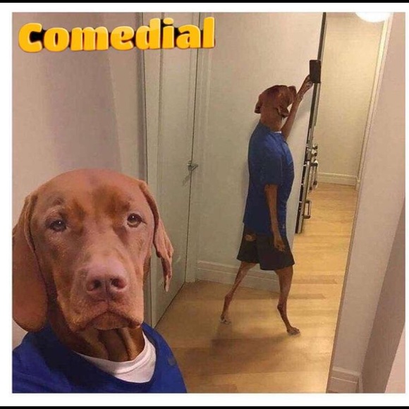 Profile Picture of Matthew Zapata (@matt_z5) on Poshmark