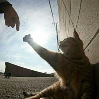 Profile Picture of Andrew Aguayo (@andrew-aguayo-5) on Quora